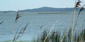 jez-gardno-widok-na-rowokol-1-300x150