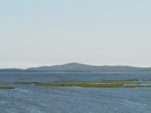 slowinski-park-narodowy-15