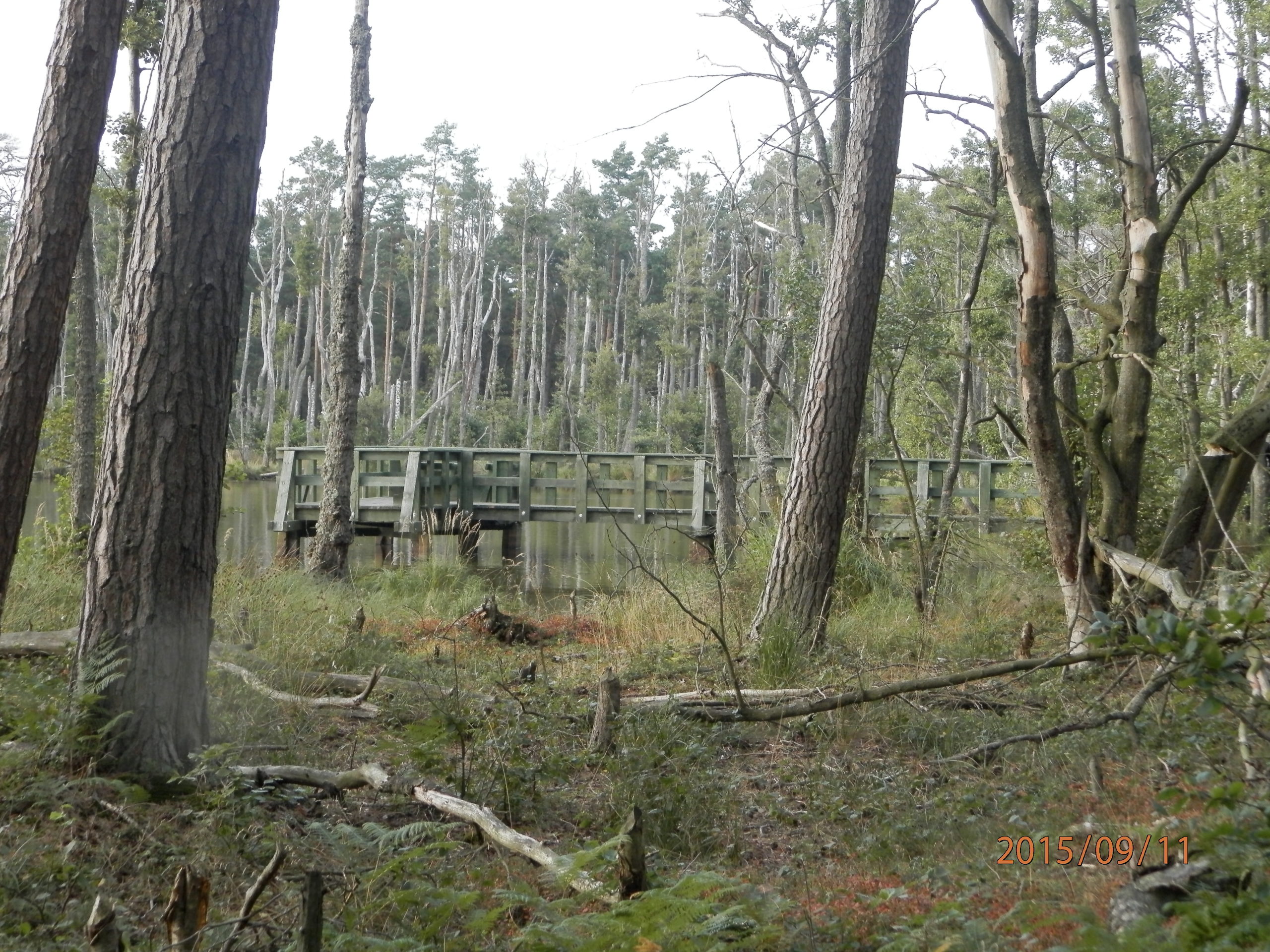 slowinski-park-narodowy-40
