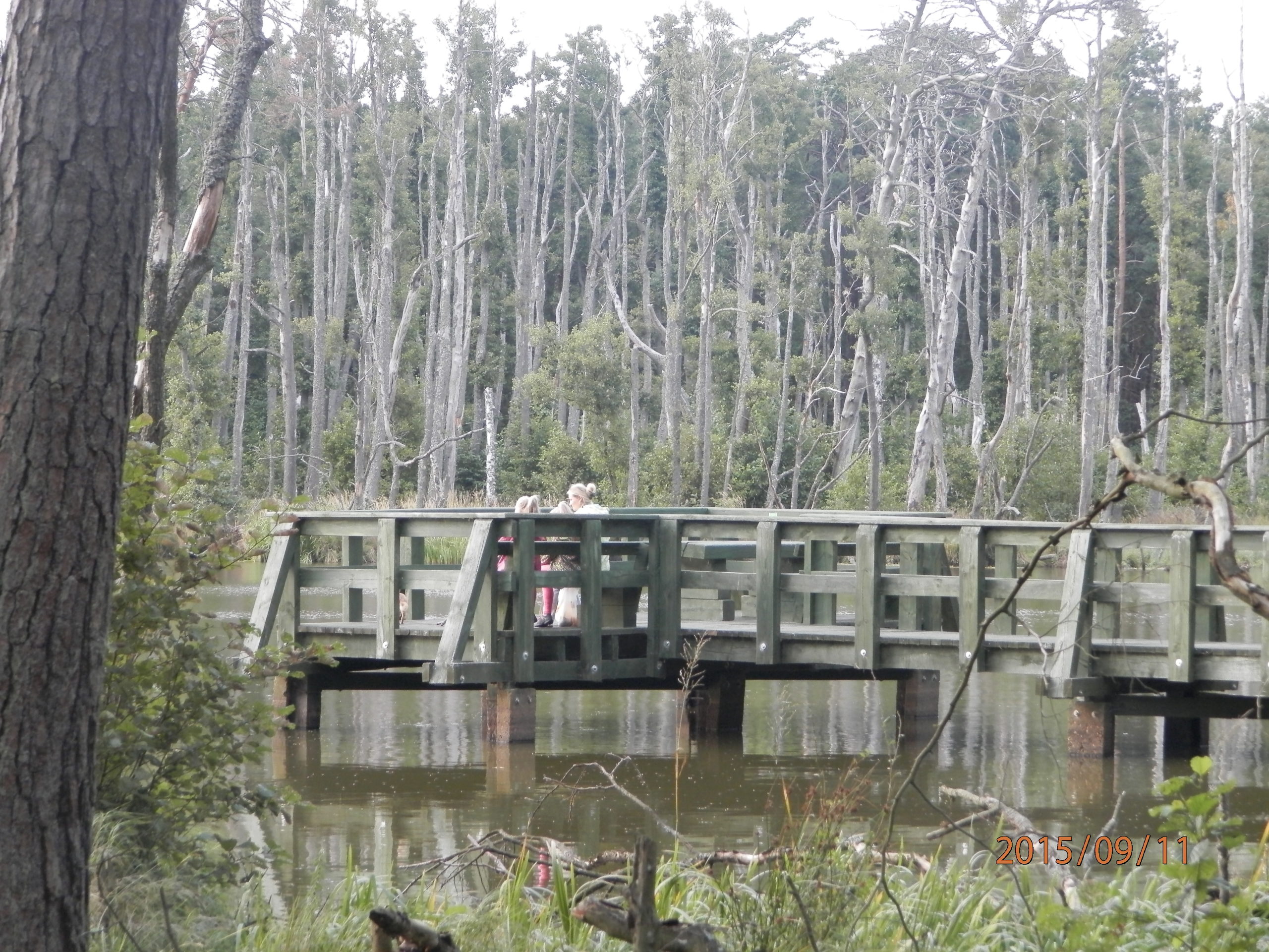 slowinski-park-narodowy-42