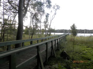 slowinski-park-narodowy-41