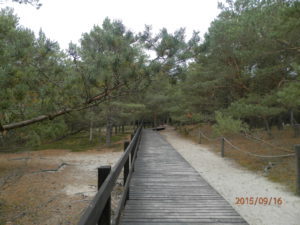 slowinski-park-narodowy-36