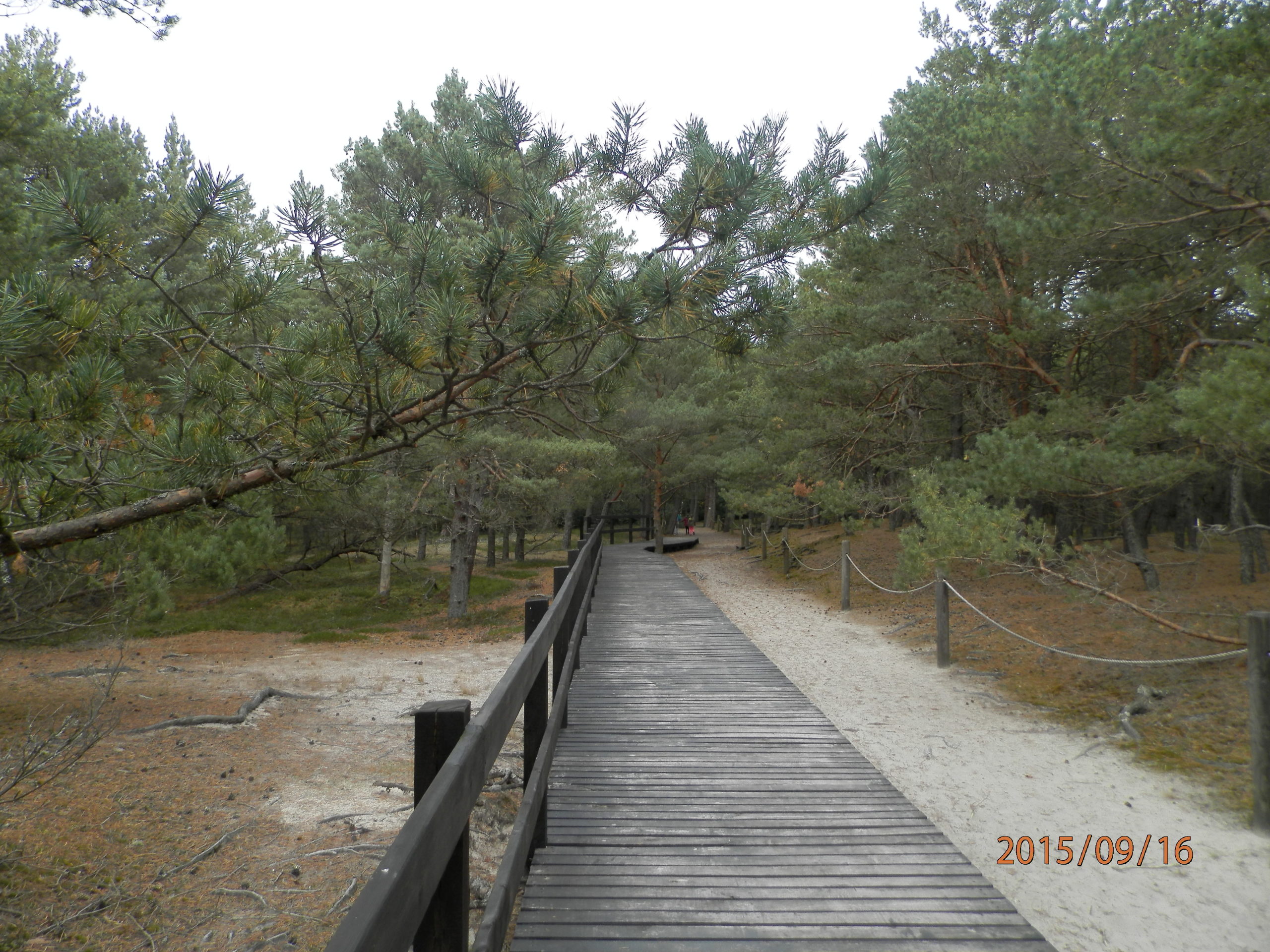 slowinski-park-narodowy-36