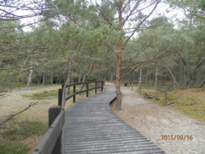 slowinski-park-narodowy-37
