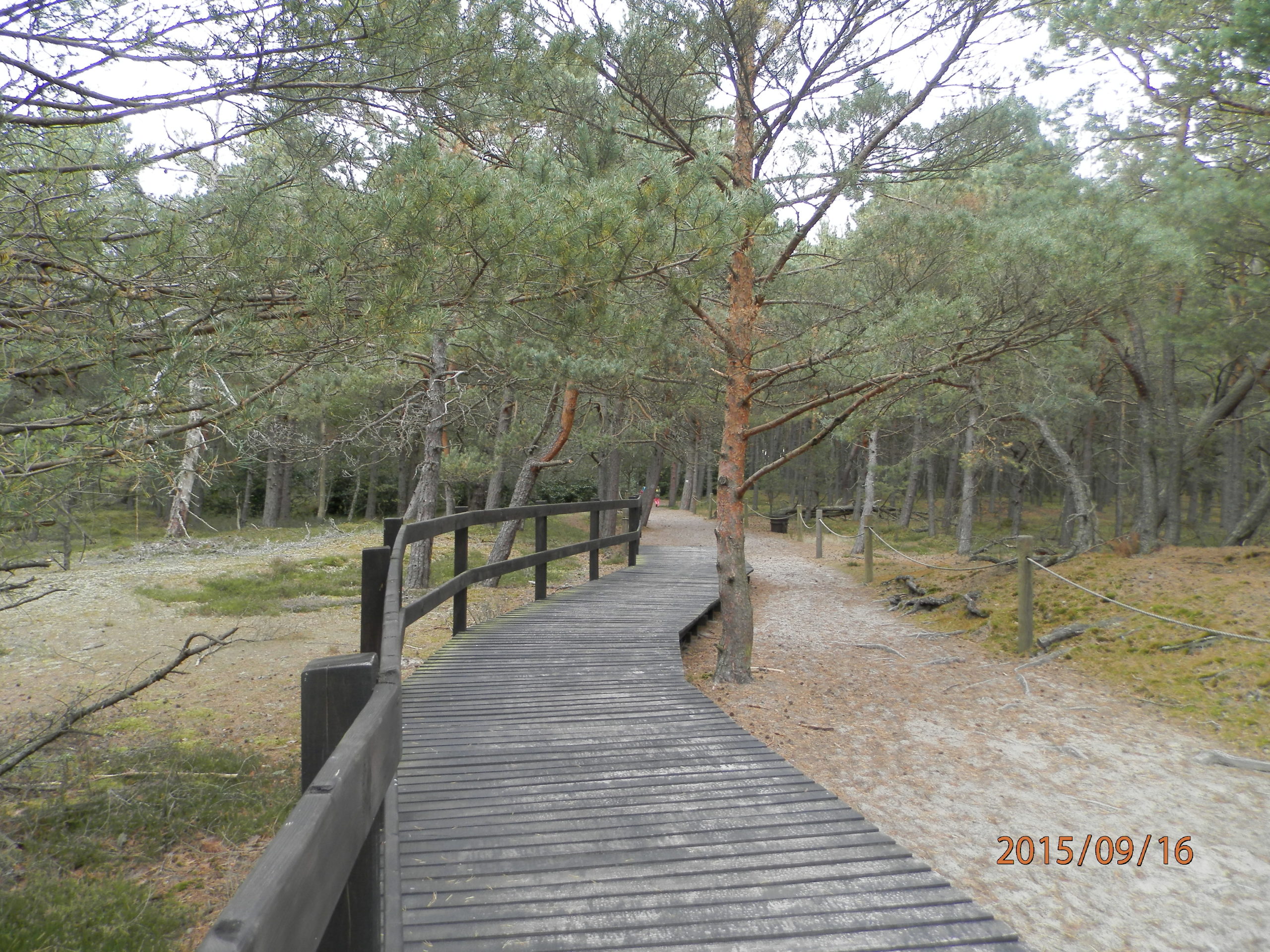 slowinski-park-narodowy-37