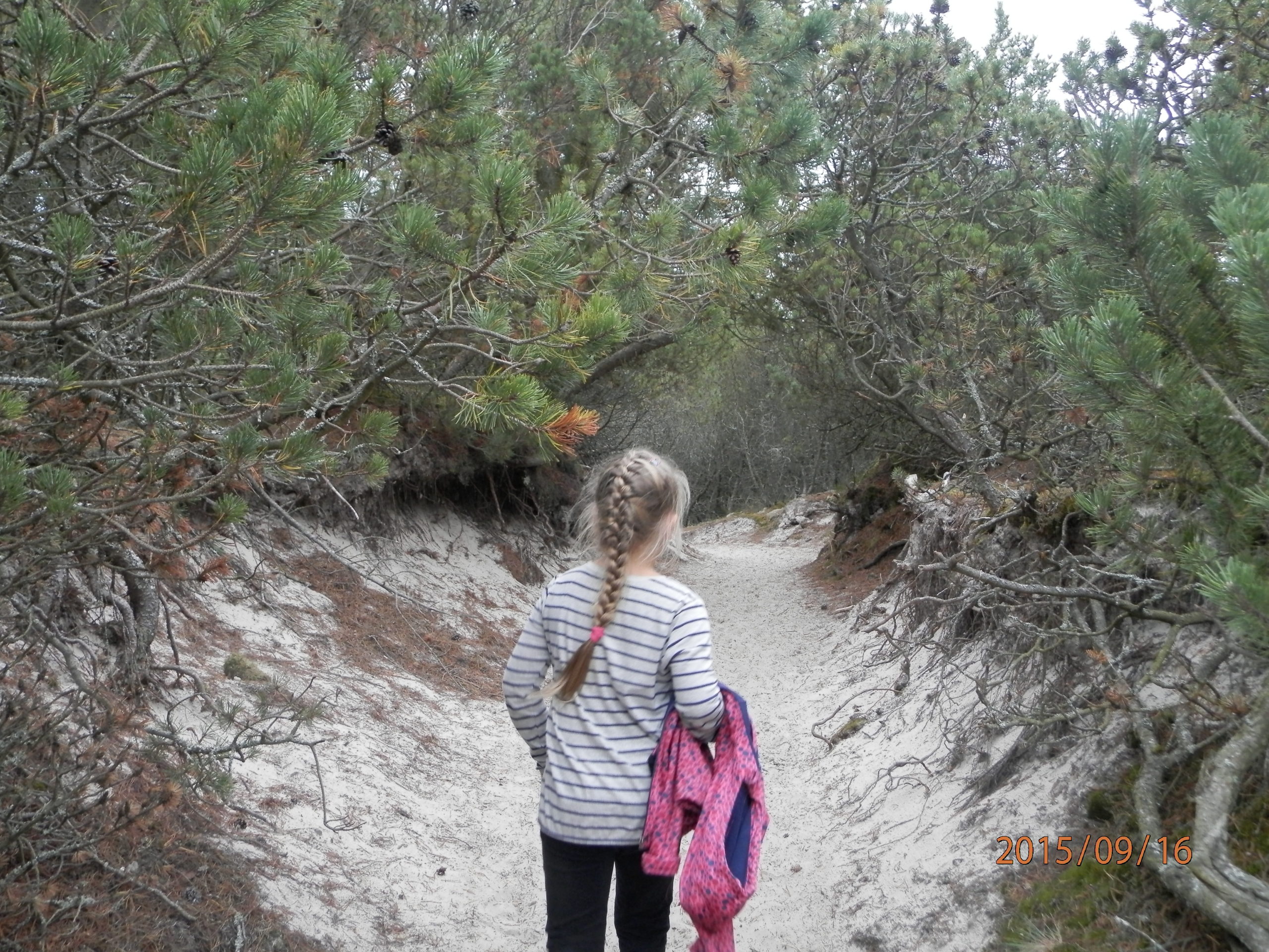 slowinski-park-narodowy-35