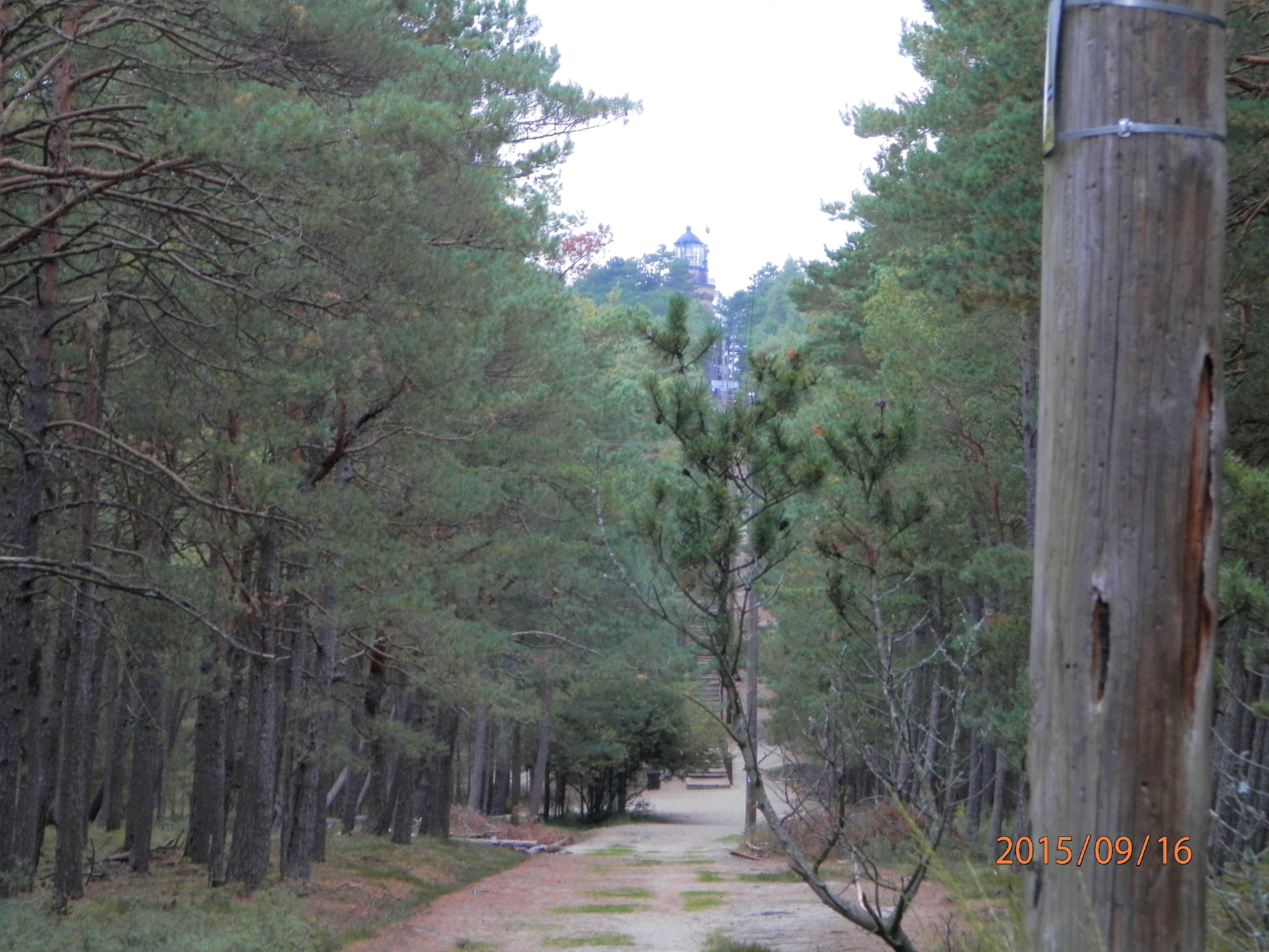 slowinski-park-narodowy-20