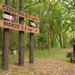 slowinski-park-narodowy-23