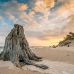 slowinski-park-narodowy-25