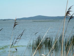 slowinski-park-narodowy-14