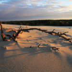 slowinski-park-narodowy-9