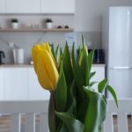 rowy-apartament-a2-kuchnia