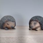 rowy-apartament-a2-kuchnia