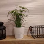 rowy-apartament-a2-lazienka