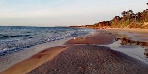 121699741_4597373303668673_5674699114142843732_o