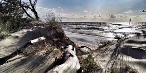 127033834_1037469893436003_7996933764954635169_o