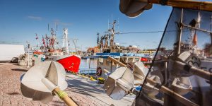 12711178_1245220392161500_6111878140334881617_o