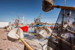 12711178_1245220392161500_6111878140334881617_o