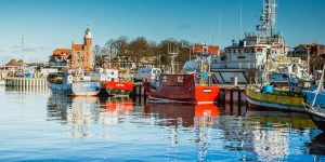 12719414_1245220878828118_1650967235721517769_o