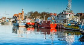 12719414_1245220878828118_1650967235721517769_o