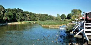 132175885_1645878498925224_4281544106665786077_o