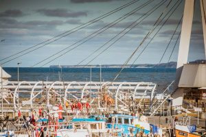 46515831_2381864268497101_4458615935208521728_o