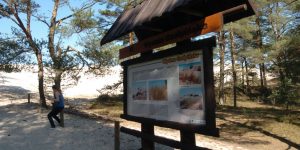 slowinski-park-narodowy-34