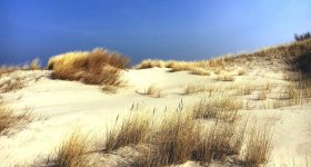 55637085_2642951589054038_6456847597066780672_o