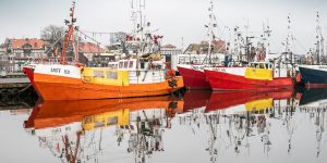 81040998_1439557732867603_1673767004567240704_o