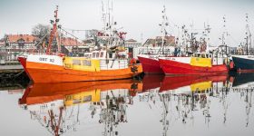 81040998_1439557732867603_1673767004567240704_o