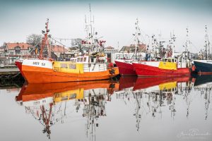 81040998_1439557732867603_1673767004567240704_o