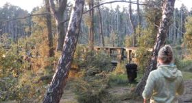 OLYMPUS DIGITAL CAMERA