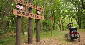 slowinski-park-narodowy-23