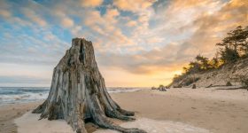 slowinski-park-narodowy-25