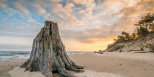 slowinski-park-narodowy-25