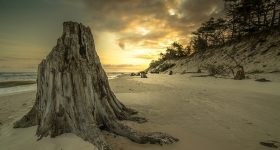 dz03MzY=_src_220250untitled_z