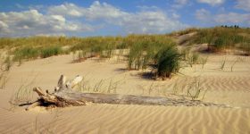 dz03MzY=_src_57467DSC