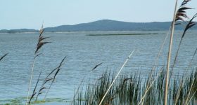 slowinski-park-narodowy-14