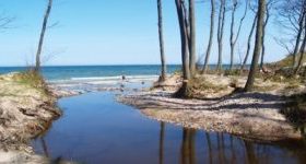 orzechowka-1-300x150