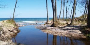 orzechowka-1-300x150