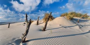 slowinski-park-narodowy-4