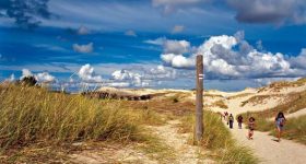 z10165764Q,Slowinski-Park-Narodowy